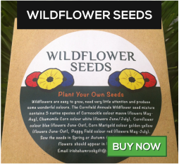 wildflower seeds